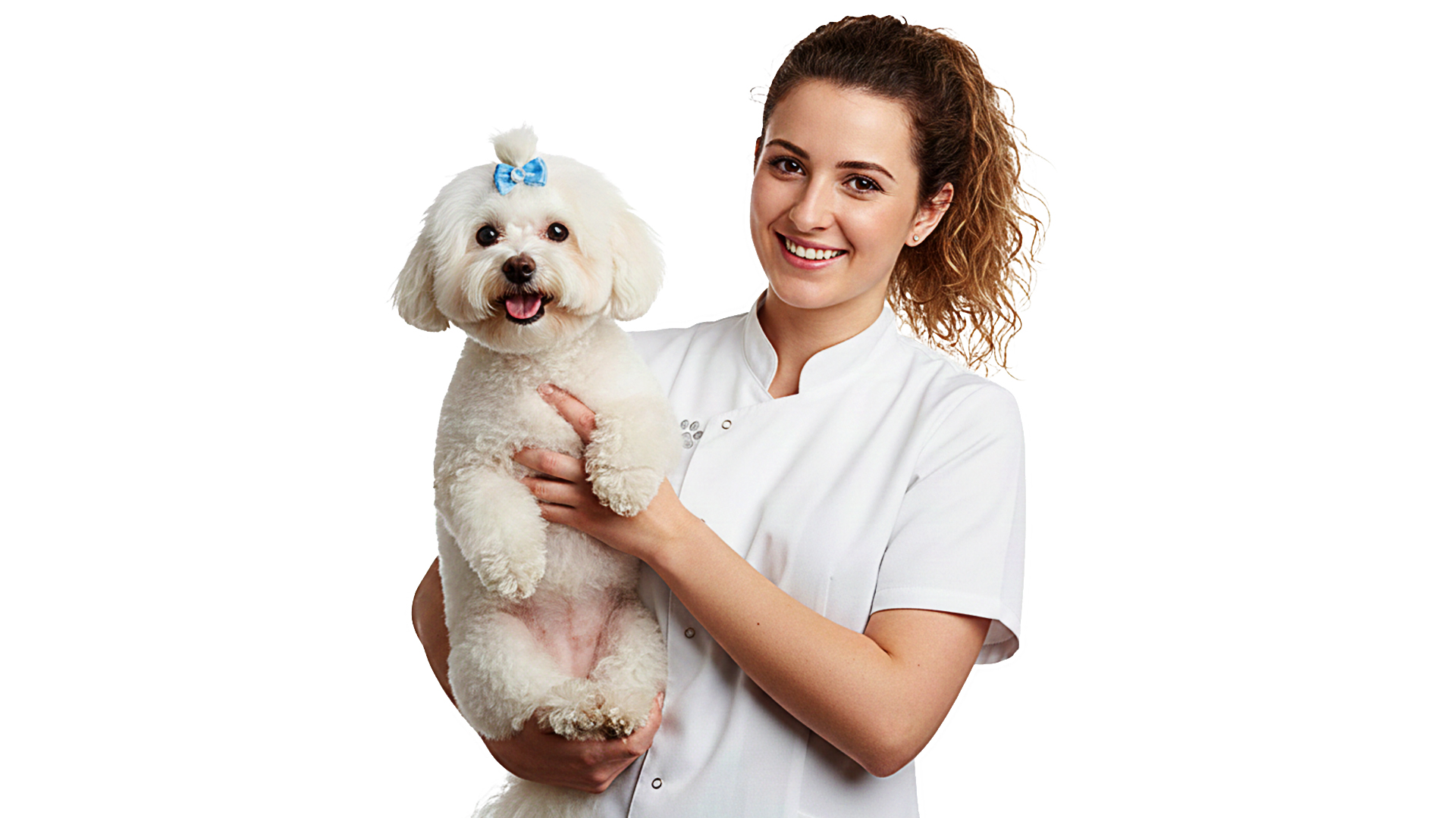 Texture, volume groomer with dog