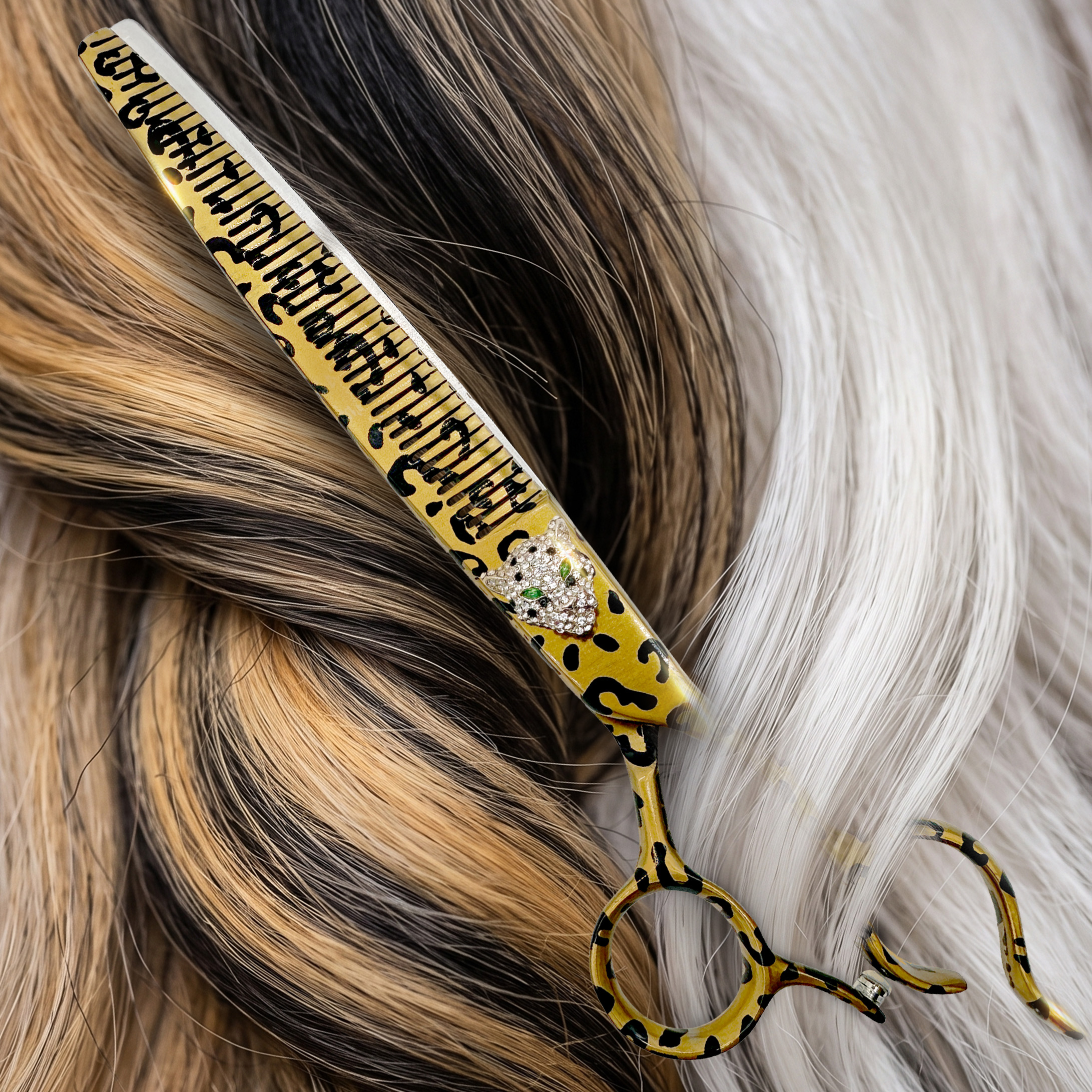 Kenchii Leopard shih tzu hair