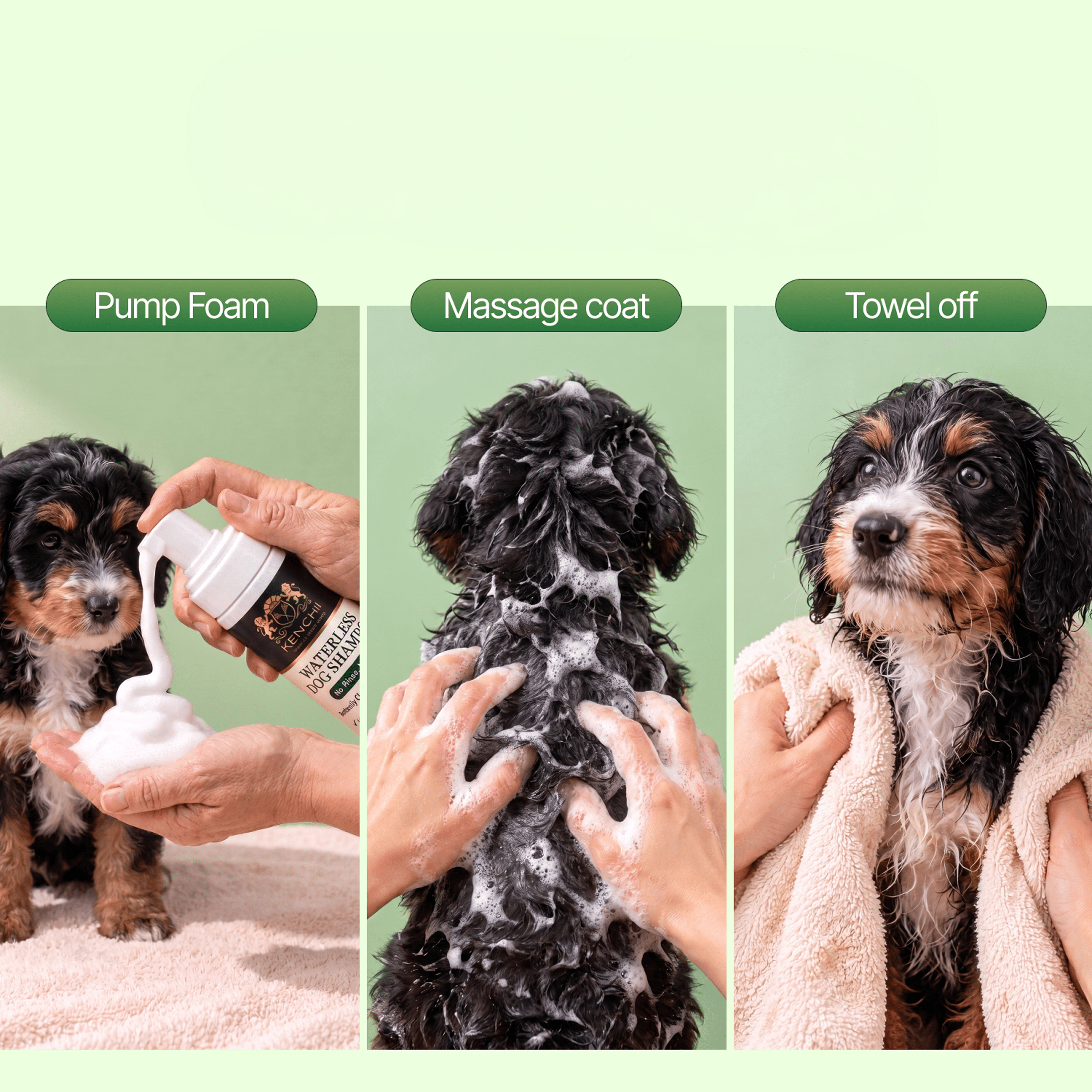 Pumping foam, massaging it into a spaniel's coat, and towel drying