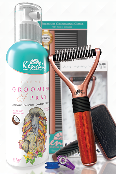 Styling Tools & Accessories